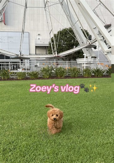 Zoey's Park Adventure: Fun with Cousins