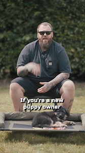 Get 20% off the Perfect Puppy Course right now! The ultimate step-by-step guide to training your puppy including: ✔️ Weekly Training Schedule ✔️ Video Demonstrations ✔️ Solutions To Common Problems (Like Puppy Biting!) ✔️ Exclusive Facebook Group Plus understand the WHY behind everything you do and make sure you get it right first time. Click below to grab it now! | Will Atherton