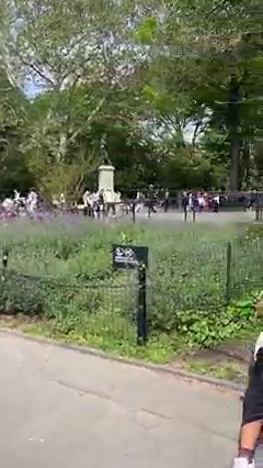 Feels like summer in Washington Square Park #NewYork | New York - NewYork.co.uk