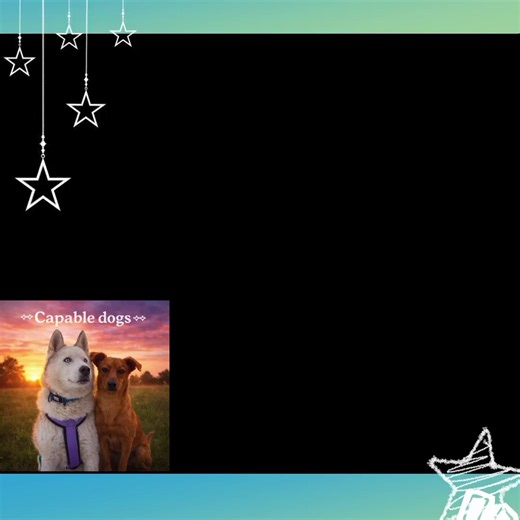 ^᪲᪲᪲ Capable dogs ^᪲᪲᪲ МЫ ОТКРЫЛИСЬ!! АНКЕТУ ПИСАТЬ В ЛС ИЛИ ТГК @miro4ka180 #мыоткрылись🥳#любимыепитомцы #реееек #набороткрыт #мылучшие