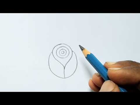 How to draw a rose | easy rose drawing step by step