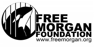 Free Morgan Foundation - Alchetron, The Free Social Encyclopedia