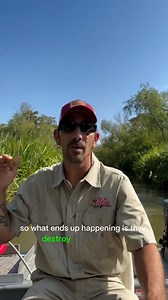 Unwind worry-free aboard Cajun Encounters' boats! Our family-safe seats guarantee everyone enjoys the sights, keeping the adventure in full view. 🚤✨ #fyp #alligator #swamp #cajun #fy #swamptour #neworleans #tour #cajunencounters | Cajun Encounters Tour Company