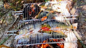 We Survived the Amazon on What We Could Catch!