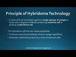 Monoclonal Antibodies (mAbs) : Production, Procedure, Selection & Applications