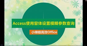 Access使用窗体设置模糊参数查询