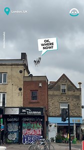 1.7K views |   ️ | Common Entertainment | Facebook