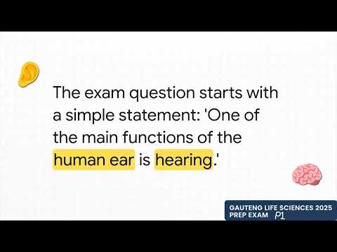 Gauteng Life Sciences 2025 Prep Exam P1 Question 1 5
