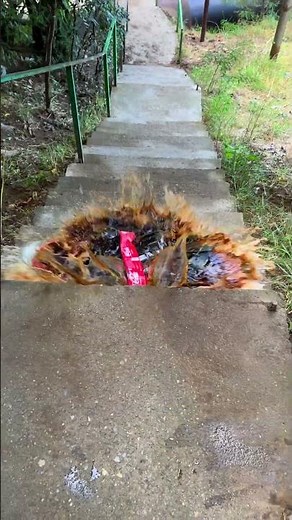 Rolling colorfull bottle on the stair 🌈👻 #asmr #crushingsoftthings #crushingcrunchythings