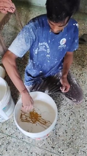 Asian Paints Golden Primer Mixing Process 🎨 | Painter Amit ka Smooth Finish Trick