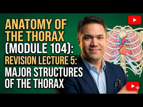 Anatomy of the thorax (module104) Revision lecture 5: Major Structures