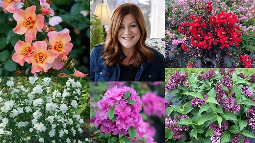 Laura's list wraps up in this video with even more plants you can consider for your 2021 garden! Details on each are included in the links below: Tortuga Juniper-- pwwin.rs/2MLfH00 Center Stage Red Crapemyrtle-- pwwin.rs/3sdR9gv Austin Pretty Limits Oleander-- pwwin.rs/3sg5ER2 Illuminati Arch Mockorange-- pwwin.rs/2MPLTiR Fine Line Improved Buckthorn-- pwwin.rs/35q6XmD Perfecto Mundo Double Purple Azalea-- pwwin.rs/3sdWaWq Ringo All-Star Rose-- pwwin.rs/3bsUnXn Baby Kim Lilac-- pwwin.rs/3bsUMZT 
