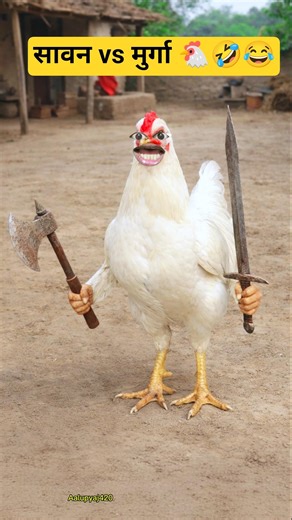 सावन Vs मुर्गा 3 🐓🤣 #shorts #funny #comedy #viral #shortvideos #murga #aalupyaj420