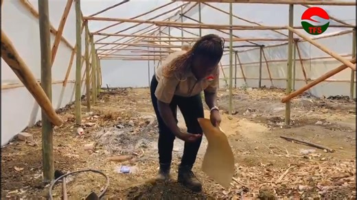 Did you know that understanding your soil is one of the most crucial...