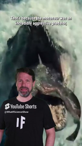 Could Mosasaurus Be Hiding in the Oceans Today?