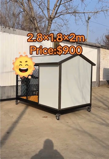 The Ultimate CloudNine Pet Palace for Your Furry Friend