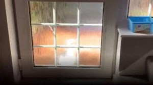 42K views · 461 reactions | ̼ ̼Have you ever been cold called by a seagull? ̼ ̼ One viewer seems to get the same knock at the door - by a gull he's now called Steven! You'll need the sound on for this one!  | ITV News Meridian | Facebook