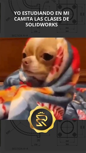Yo estudiando en mi camita las clases de SolidWorks 😴💻