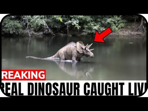 20 Extinct Animals Caught ALIVE On Camera!