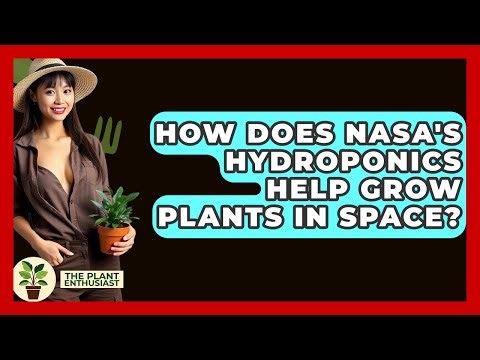 How Does NASA's Hydroponics Help Grow Plants In Space? - The Plant Enthusiast