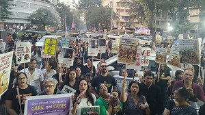 Mumbai: Animal Lovers In Ghatkopar Protest Forced Dog Relocation, Plan To Form Political Party To Defend Strays