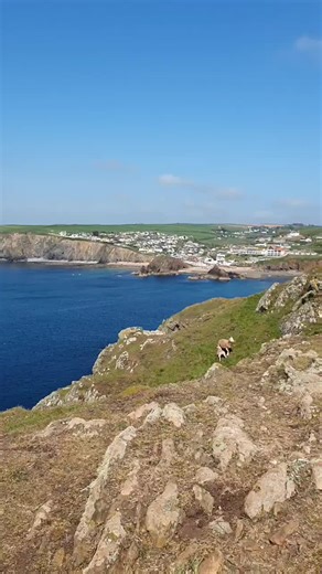 "I know a spot" #devon #southdevon