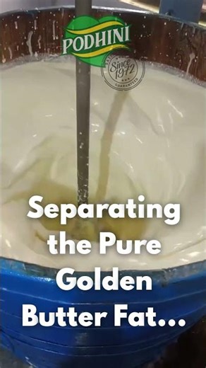 This Is How Real Butter Is Made | No Chemicals | Pure Butter Making Process Revealed 🔥 #purebutter