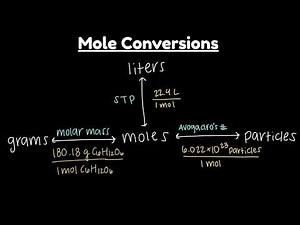 Mole Conversions Explained with Glucose, Molar Mass, Avogadro's Number, Particles, and Volume at STP