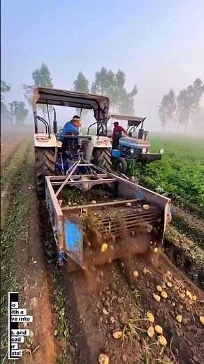 Potato Harvesting Revolution: Tractor with Advanced Potato Digger