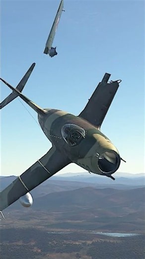 the best flight simulator !
