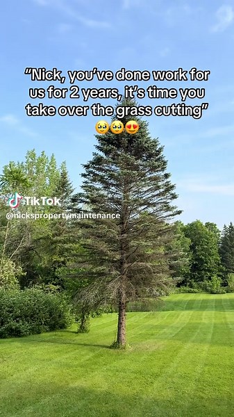 Property Maintenance Tips for Grass Cutting Success