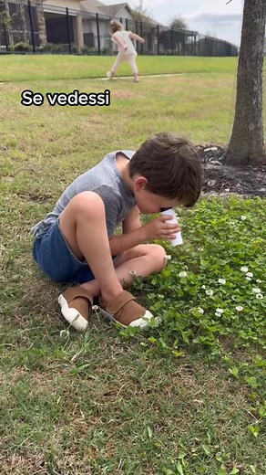 Abbiamo preso il vecchio microscopio ingombrante e ne abbiamo condensato tutta la potenza in un dispositivo portatile e facile da usare. Il regalo perfetto per un giovane scienziato o ingegnere! 🧑‍🔬 Sviluppa l’amore per la scienza 🌳 Esci nella natura 🔬 Facile da usare, pronto in 30 secondi 🙌 Favorisce l’apprendimento pratico Offerta limitata: fino al 40% di sconto 3 regali esclusivi 🎁 | Piccolab