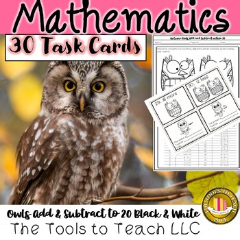 Autumn Owls Add and Subtract to 20 Task Card Black and White Grades 1st-3rd