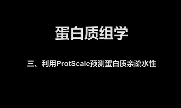 3蛋白质组学之利用ProtScale预测蛋白质亲疏水性