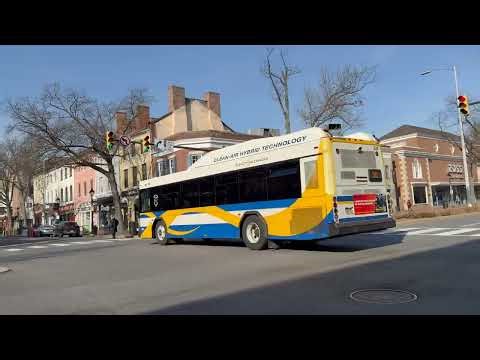 DASH Alexandria Transit Company and WMATA Metrobus Compilation at King Street-Old Town Alexandria