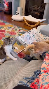 18K views · 2.1K reactions | For those wondering how Flip Flop...