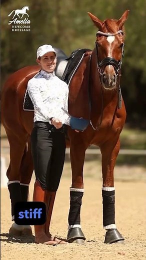 Can't get Your Horse to Bend?