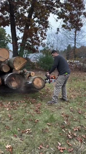 stihl 400c how are these saw so good #shorts