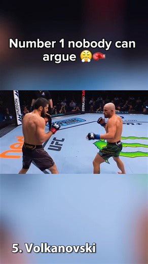 Top 5 Best Pound For Pound Fighters In The UFC Right Now 🏆🥊