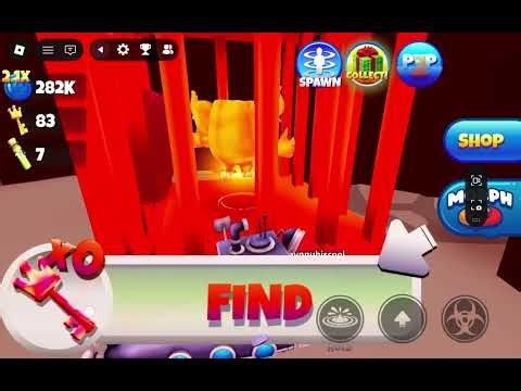 Playing morph world part 1