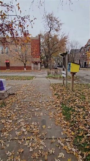 4K- Walk in Fall, Little Village, Chicago, IL 📍#fall