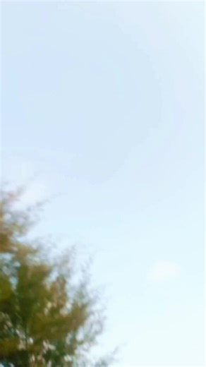 Roxtar Butto😈 (@roxtar.butto)’s videos with original sound - reshma shehzadi 🥰