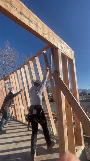 Build a house read aloud #satisfying #shorts #woodworking