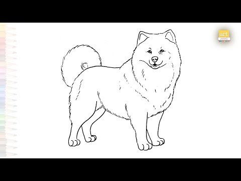 Samoyed dog drawings | Dog outline sketches | How to draw A Samoyed dog step by step | #artjanag