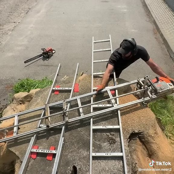 Restoring an Old Oak Tree with Precision Sawing
