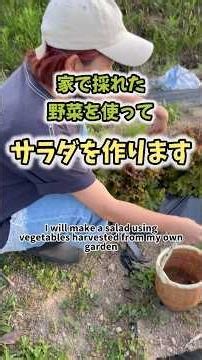 家で作った野菜でサラダを作る|紫玉ねぎ|サニーレタス #家庭菜園 #shorts