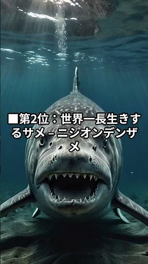 サメの世界一ランキング【最強・最速・最長寿】 #サメ雑学 #サメランキング #ジンベエザメ #アオザメ #ニシオンデンザメ #動物トリビア