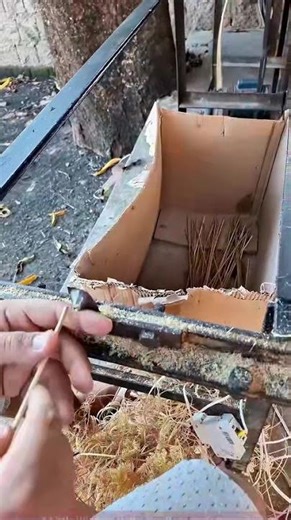 Full Process of Bamboo Stick Processing: DIY Bamboo Stick Making!