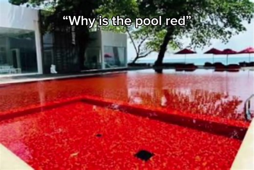 I accidentally recorded myself swimming in the ocean😭✌️ #fyp #xyzbca #bambietta #atlantis #swimming