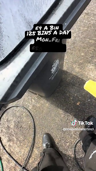 Turning Trash into Cash: Building a Bin Cleaning Business